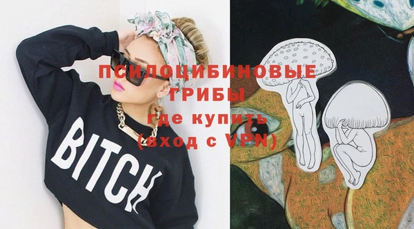 PSILOCYBIN Алзамай