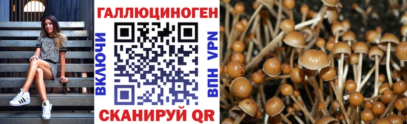 Галлюциногенные грибы Psilocybine cubensis купить закладку Искитим